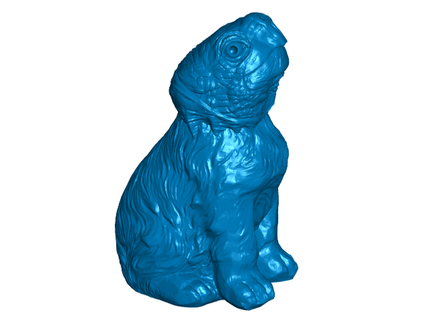 DNA hackear cachorro tartaruga toakamato decoração cão genética 3d print model - Mito3D