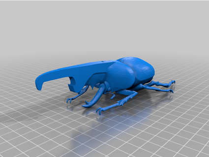 enoder botella abrelatas escarabajo elolbelgicos 3d print model - Mito3D