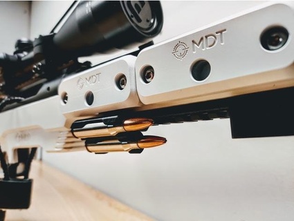 picatinny ammo clip 308win dialfonzo 3d print model - Mito3D