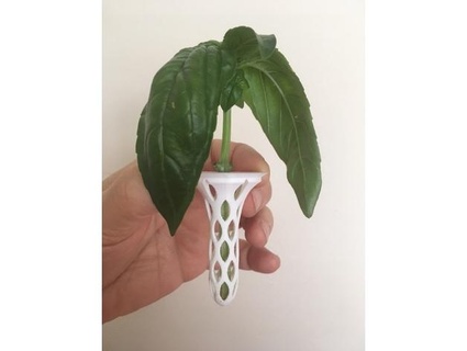 jardim inverno vagem crescer esponjas Rybaiho 3d print model - Mito3D