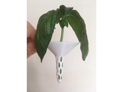 mason jar lid grow basil cuttings rybaiho 3d print model - Mito3D