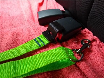 dog seat belt button guard lobocnc 3d print model - Mito3D
