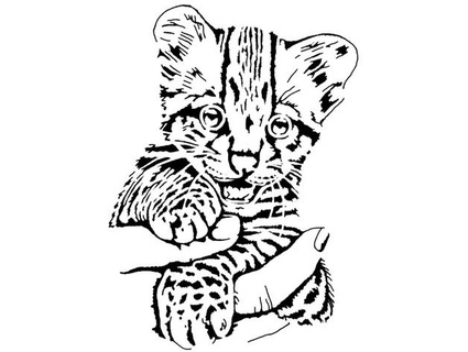 tiger cub stencil 3 longquang 3d print model - Mito3D