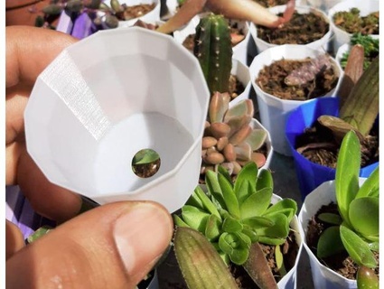 piccolo vaso pentola cactus piante grasse g4zo 3d print model - Mito3D