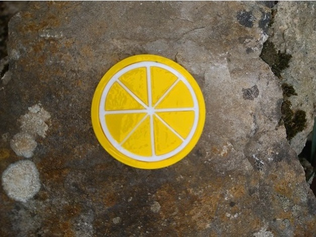 limão fatia arcka0910 3D print model - Mito3D