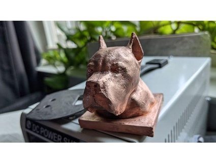 cane corso italian mastiff bust quarkhaven 3d print model - Mito3D