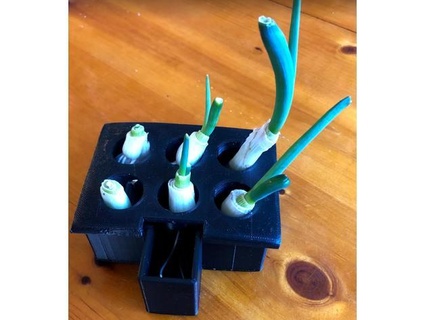 green onion scallion growing box harlev 3d print model - Mito3D