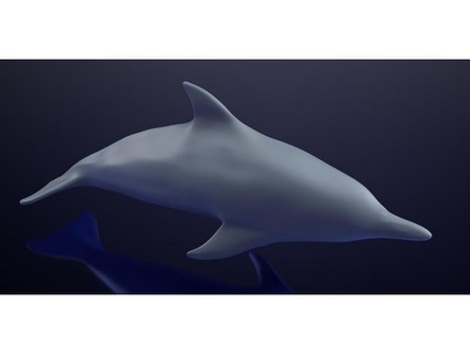 dolphin ahendler 3d print model - Mito3D