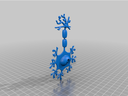 neurona modelo tylerdevere 3d print model - Mito3D