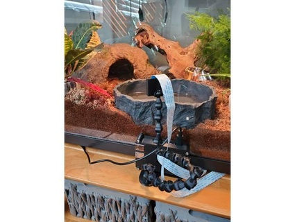 Himbeere pi 4 Fall Mantel flexibel Kamera Arm alt 3d print model - Mito3D