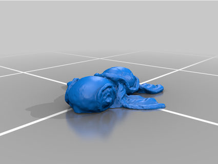 Schildkröte 3d gescannt Traum Design drucken 3d print model - Mito3D