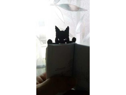 espiando gato marca páginas di gatto che olhar vejo 3d print model - Mito3D