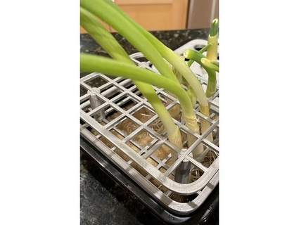 green onion growing rack john94501 3d print model - Mito3D