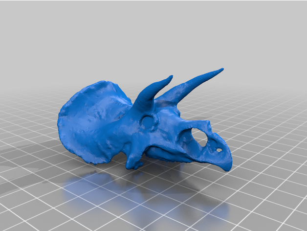 triceratops cráneo mr tanker08 3D print model - Mito3D