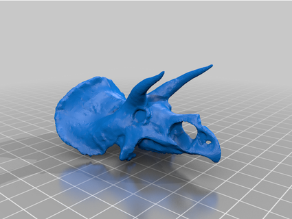 triceratops skull mr tanker08 3d print model - Mito3D