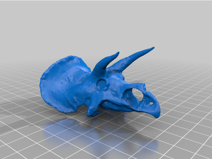 Triceratops Schädel mr tanker08 3d print model - Mito3D