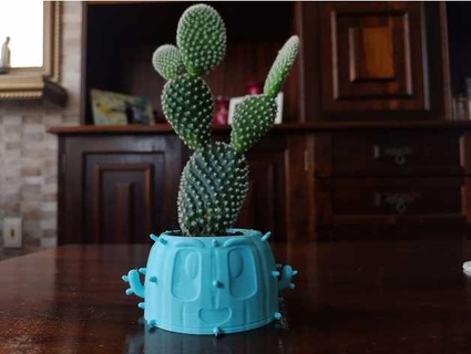 vencedor vaso stevancrima 3d print model - Mito3D