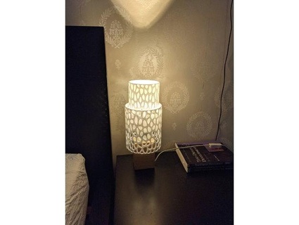 voronoi lampshade regularfry 3d print model - Mito3D
