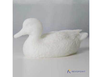 wild duck revopoint 3d print model - Mito3D