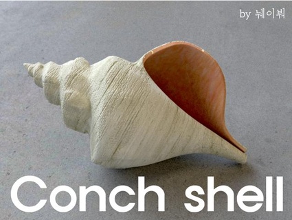 conch shell kimgooni 3d print model - Mito3D