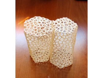 Voronoi escutóide nielhg 3d print model - Mito3D
