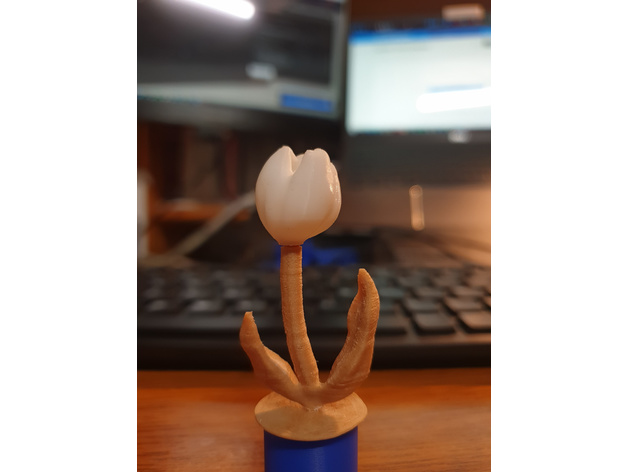 tulipán 2 piezas sopa abierta 3D print model - Mito3D