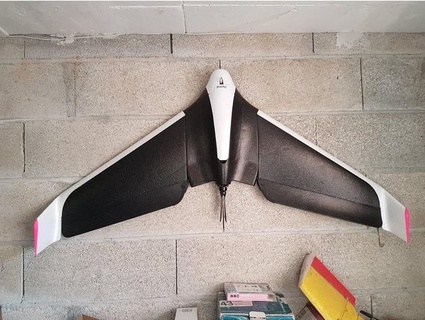 Papagei Disko Haken aeropisch 3d print model - Mito3D