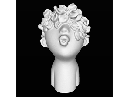 flower hair boy generate pop revopoint 3d print model - Mito3D