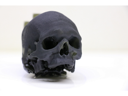 agujereado cráneo bla 3d print model - Mito3D