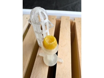 abejas negro crianza higo miel abeja reina jaula explorador 3d print model - Mito3D