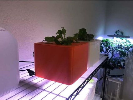 ultimate desktop hydroponic garden hoskins355 3d print model - Mito3D