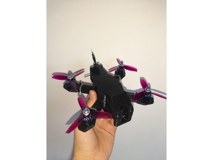complete fpv drone frame boar cub 3 inch prop size easely sub250 leofra 3d print model - Mito3D