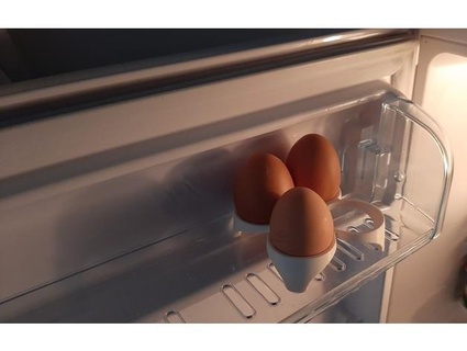 4 eggs holder fridge else diegobellagamba 3d print model - Mito3D