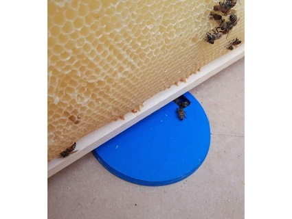 two ways bee escape frapicchi 3d print model - Mito3D