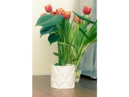 customizable geometric pattern flowerpot miromiromiro 3d print model - Mito3D