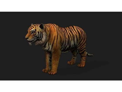 tiger jcamillo 3d print model - Mito3D