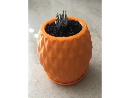 pineapple pot drainage holes tray mr walker 3d print model - Mito3D