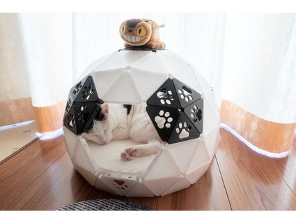 geodesic dome cat house abby575 3d print model - Mito3D