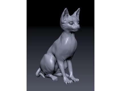 hairless cat csq3303 3d print model - Mito3D