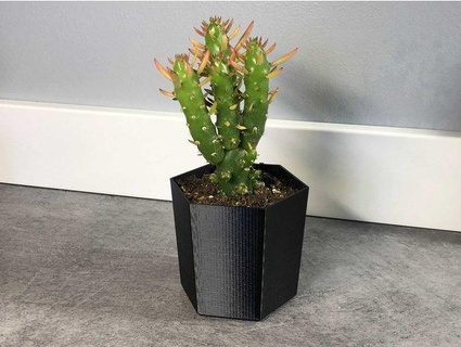 mini-cactus pot dancan13f 3d print model - Mito3D