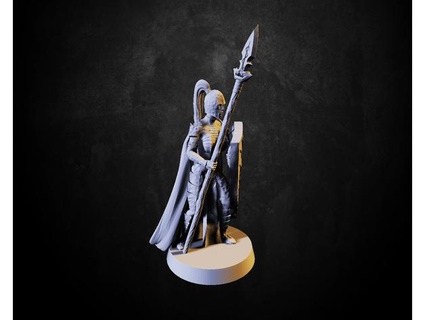 drow elf - spear cheeseromano5 3d print model - Mito3D