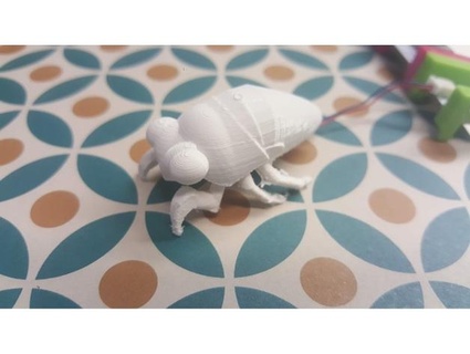 cicada sneakysarracenia 3d print model - Mito3D