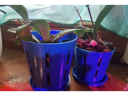 orchid pot tray ssjoco 3d print model - Mito3D