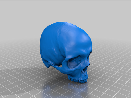 cranio mandibola amir12 3d print model - Mito3D