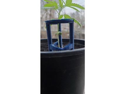 planta semillero ahorrador sencillo apoyo 77 17 3d print model - Mito3D