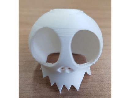 cráneo cdy226 3d print model - Mito3D