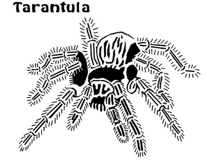 tarantula stencil 3 longquang 3d print model - Mito3D