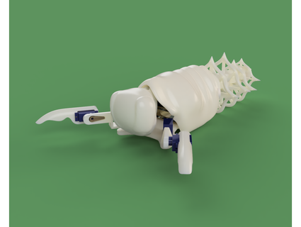 tachicardio pupabot regina carne 3d print model - Mito3D