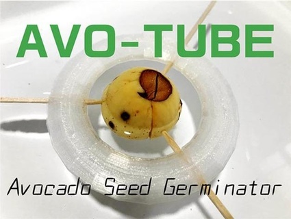 avo tube avocado seme germinatore kenken0851 3d print model - Mito3D