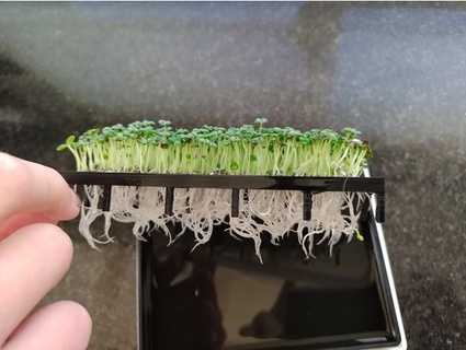seed germinator 3dmonios 3d print model - Mito3D